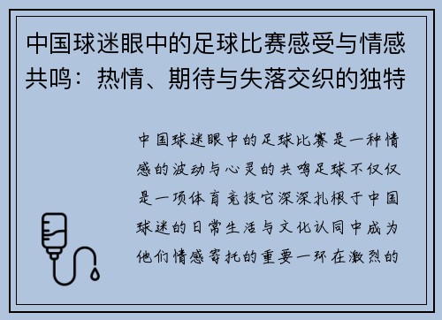 中国球迷眼中的足球比赛感受与情感共鸣：热情、期待与失落交织的独特体验